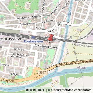 Mappa Piazza Alfredo e Carlo del Vivo, 4, 50065 Pontassieve, Firenze (Toscana)