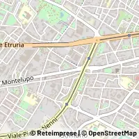 Map Firenze