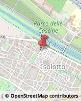 Viale dei Platani, 16,50142Firenze