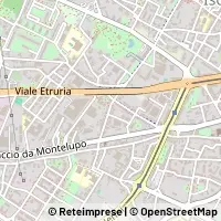 Carte Firenze