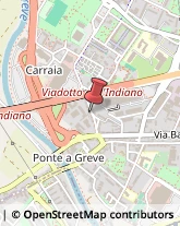 Via della Casella, 29,50142Firenze