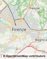 Organizzazioni, Associazioni ed Enti Internazionali Firenze,50126Firenze