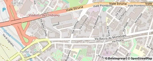 Mappa Firenze