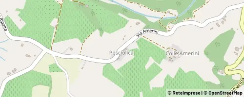 Mappa Vinci