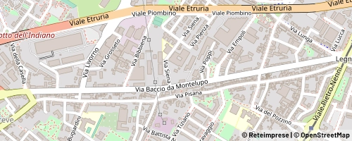Mappa Floransa