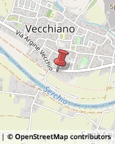 Via Argine Vecchio, 123,56019Vecchiano