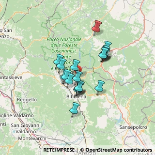 Mappa Loc. Castagnoli - Serravalle, 52011 Bibbiena AR, Italia (10.675)