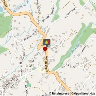 Osteopatia,55012Lucca