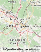 Commercio Elettronico - Società Sesto Fiorentino,50019Firenze