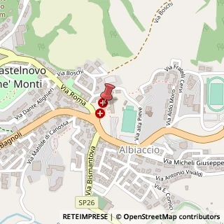 Mappa Via Roma, 2, 42035 Castelnovo Ne' Monti, Reggio nell'Emilia (Emilia Romagna)