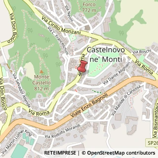Mappa Via Roma, 79C, 42035 Castelnovo Ne' Monti, Reggio nell'Emilia (Emilia Romagna)