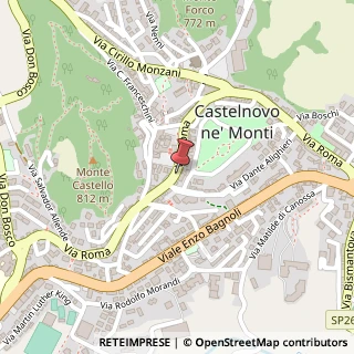 Mappa Via Roma, 42035 Castelnovo Ne' Monti, Reggio nell'Emilia (Emilia Romagna)