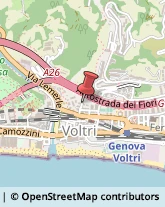 Via Alassio, 4/3,16100Genova