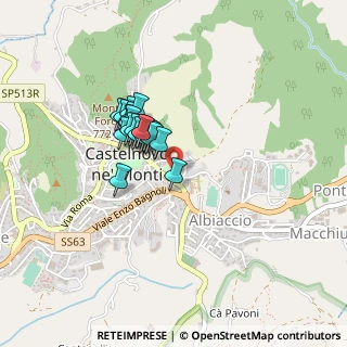 Mappa 42035 Castelnovo ne' Monti RE, Italia (0.3135)