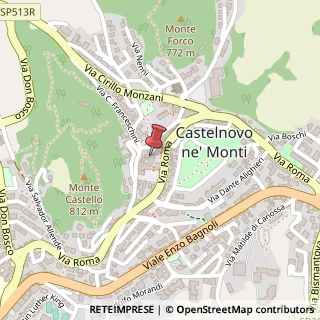 Mappa Piazza Antonio Peretti, 8, 42035 Castelnovo Ne' Monti, Reggio nell'Emilia (Emilia Romagna)