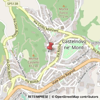 Mappa Via Vittorio Veneto, 8, 42035 Castelnovo Ne' Monti, Reggio nell'Emilia (Emilia Romagna)
