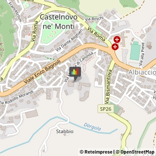 Palestre e Centri Fitness,42035Reggio nell'Emilia