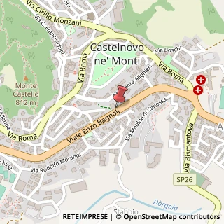 Mappa Viale E. Bagnoli, 33, 42035 Castelnovo Ne' Monti, Reggio nell'Emilia (Emilia Romagna)