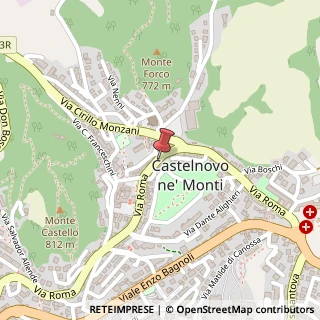 Mappa Via Roma, 45B, 42035 Castelnovo Ne' Monti, Reggio nell'Emilia (Emilia Romagna)