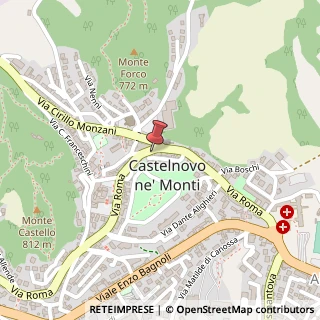 Mappa Via Roma, 41 A/B, 42035 Castelnovo Ne' Monti, Reggio nell'Emilia (Emilia Romagna)