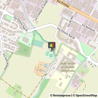 Impianti Sportivi,40064Bologna