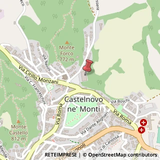 Mappa Piazza Antonio Gramsci, 1D, 42035 Castelnovo Ne' Monti, Reggio nell'Emilia (Emilia Romagna)