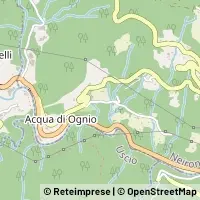 Carte Neirone