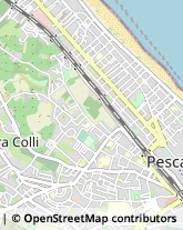 Feste - Organizzazione e Servizi Pescara,65126Pescara