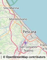 Agenzie di Animazione e Spettacolo Montesilvano,65016Pescara