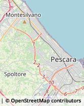 Agenzie di Animazione e Spettacolo Pescara,65125Pescara