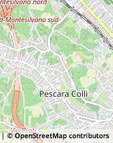 Via Mazzini, 131,65122Pescara