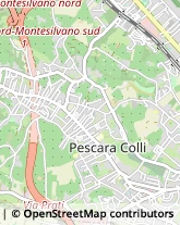 Ottica, Occhiali e Lenti a Contatto - Dettaglio Pescara,65122Pescara