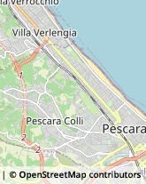 Feste - Organizzazione e Servizi Pescara,65124Pescara