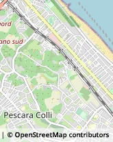 Feste - Organizzazione e Servizi Pescara,65122Pescara