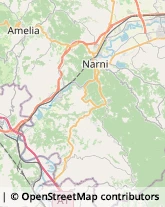 Ortofrutticoltura Narni,05035Terni