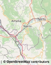 Ortofrutticoltura Amelia,05022Terni