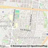 Kart Torino