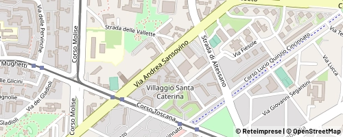 Mappa Turin