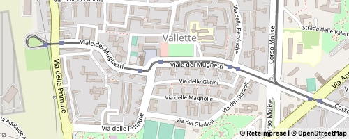 Mappa Turyn