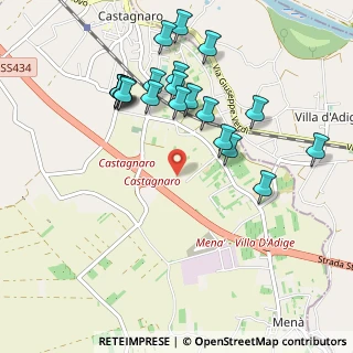 Mappa Via Andrea Palladio, 37043 Castagnaro VR, Italia (1.027)