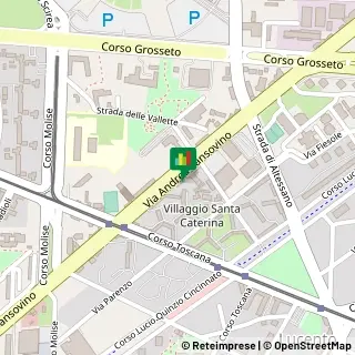 Via Andrea Sansovino, 108,10151Torino