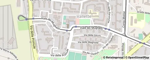 Mappa Turin