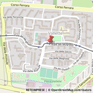 Mappa Viale dei Mughetti, 13/B, 10151 Torino, Torino (Piemonte)