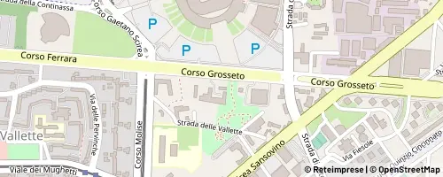 Mappa Torino