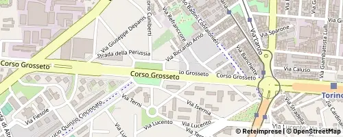 Mappa Torino