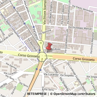 Mappa Corso Grosseto, 254, 10147 Torino, Torino (Piemonte)