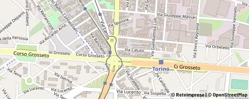 Mappa Turin