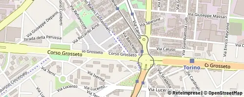 Mappa Torino