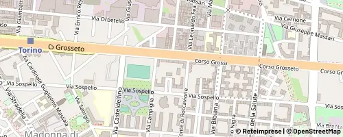 Mappa Turin