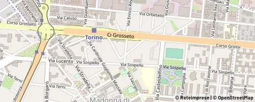 Mappa Turin